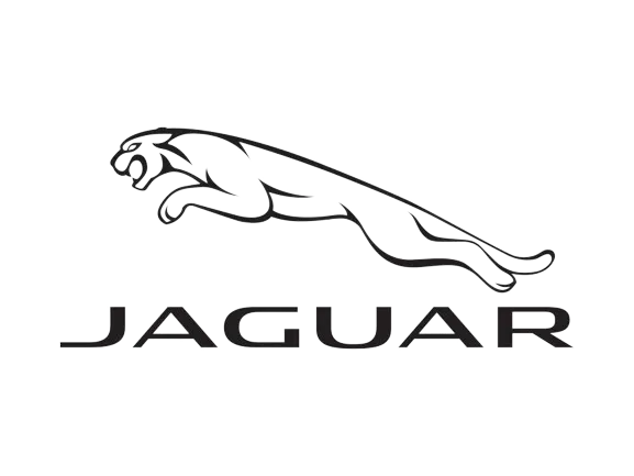  685_jaguar-removebg-preview.png